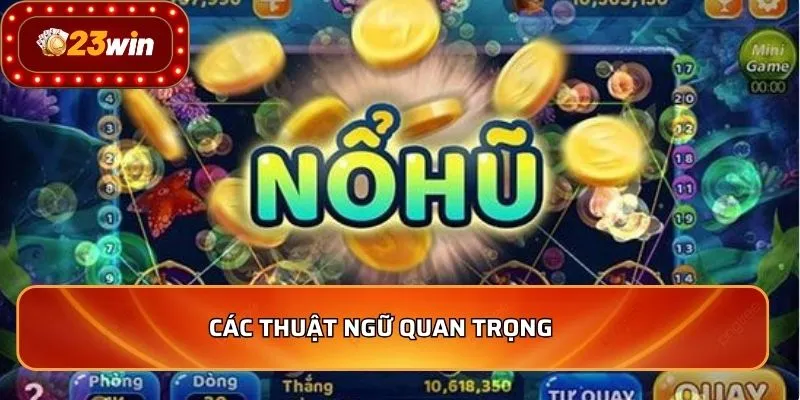 Các thuật ngữ quan trọng